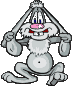 :Hase: